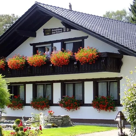 Haus Edelweiss Comfortable 度假居