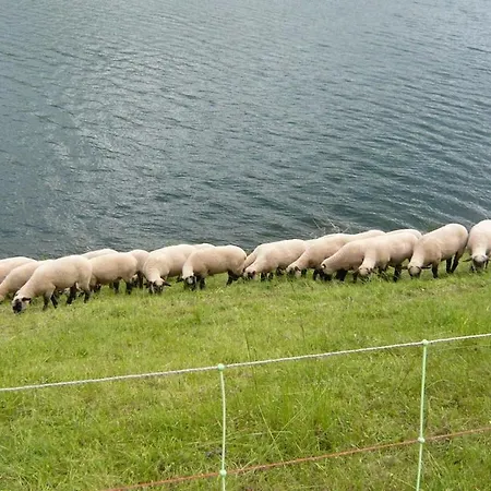 Haus Edelweiss Comfortable