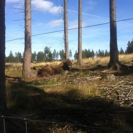 Haus Edelweiss Comfortable Prázdninový dům Winterberg