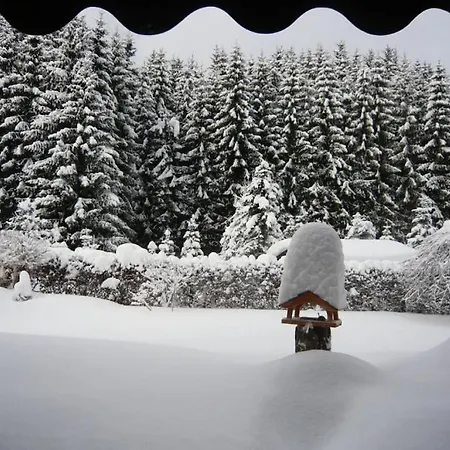 Prázdninový dům Haus Edelweiss Comfortable Winterberg