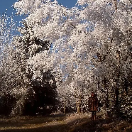 Haus Edelweiss Comfortable Prázdninový dům *