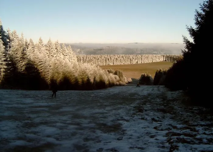 Haus Edelweiss Comfortable Дом отдыха Винтерберг