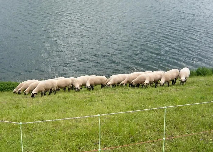 Haus Edelweiss Comfortable