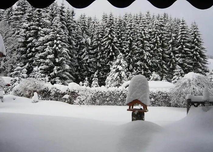 Vakantiehuis Haus Edelweiss Comfortable Winterberg