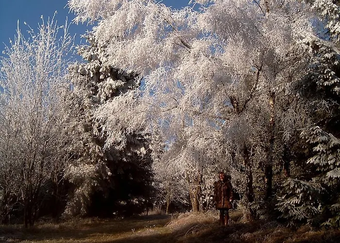 Haus Edelweiss Comfortable Дом отдыха *